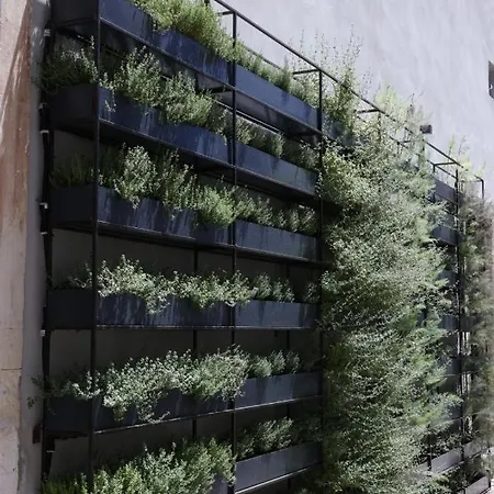 Habitat Boutique Hotel
